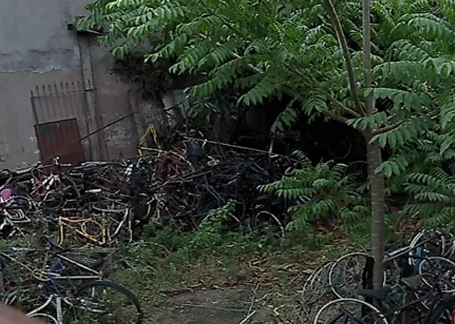 Desmanche de bicicletas desativado vira criadouro de ratos e insetos em Vila Velha