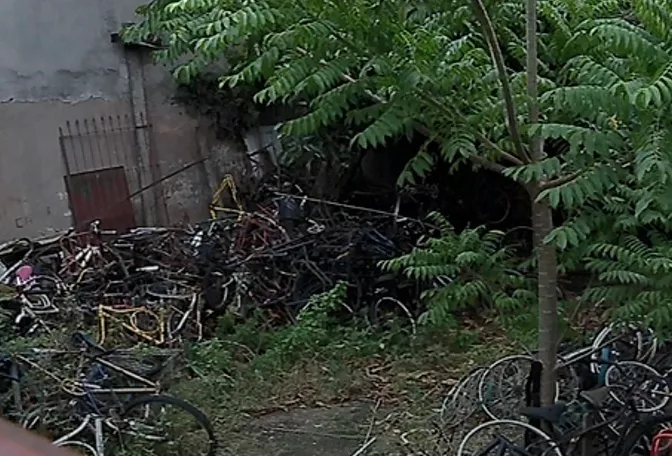 Desmanche de bicicletas desativado vira criadouro de ratos e insetos em Vila Velha