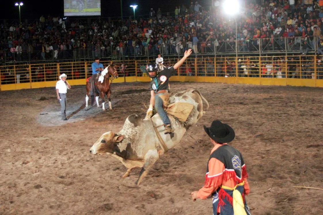 De graça! Rodeio e shows de Nando Reis, Alemão do Forró e Gabriel Gava agitam Viana