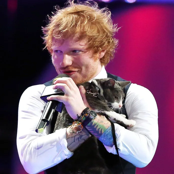 Ed Sheeran revela que fará pausa nas apresentações durante último show em SP