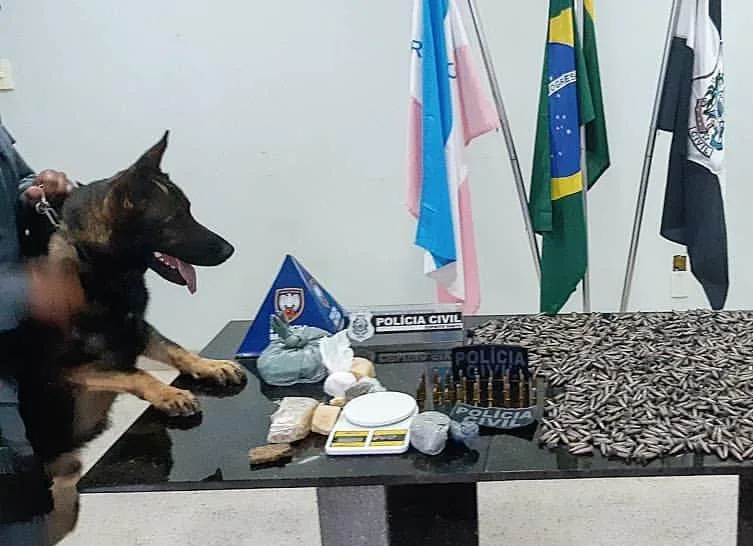 PM de Guarapari divulga resultados de ações com cão farejador