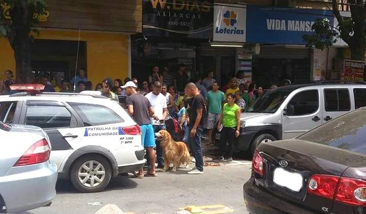 PM resgata cão deixado preso dentro de automóvel em Cariacica