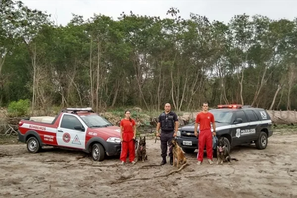 Bombeiros do ES enviam cães para ajudar nas buscas por desaparecidos em Mariana