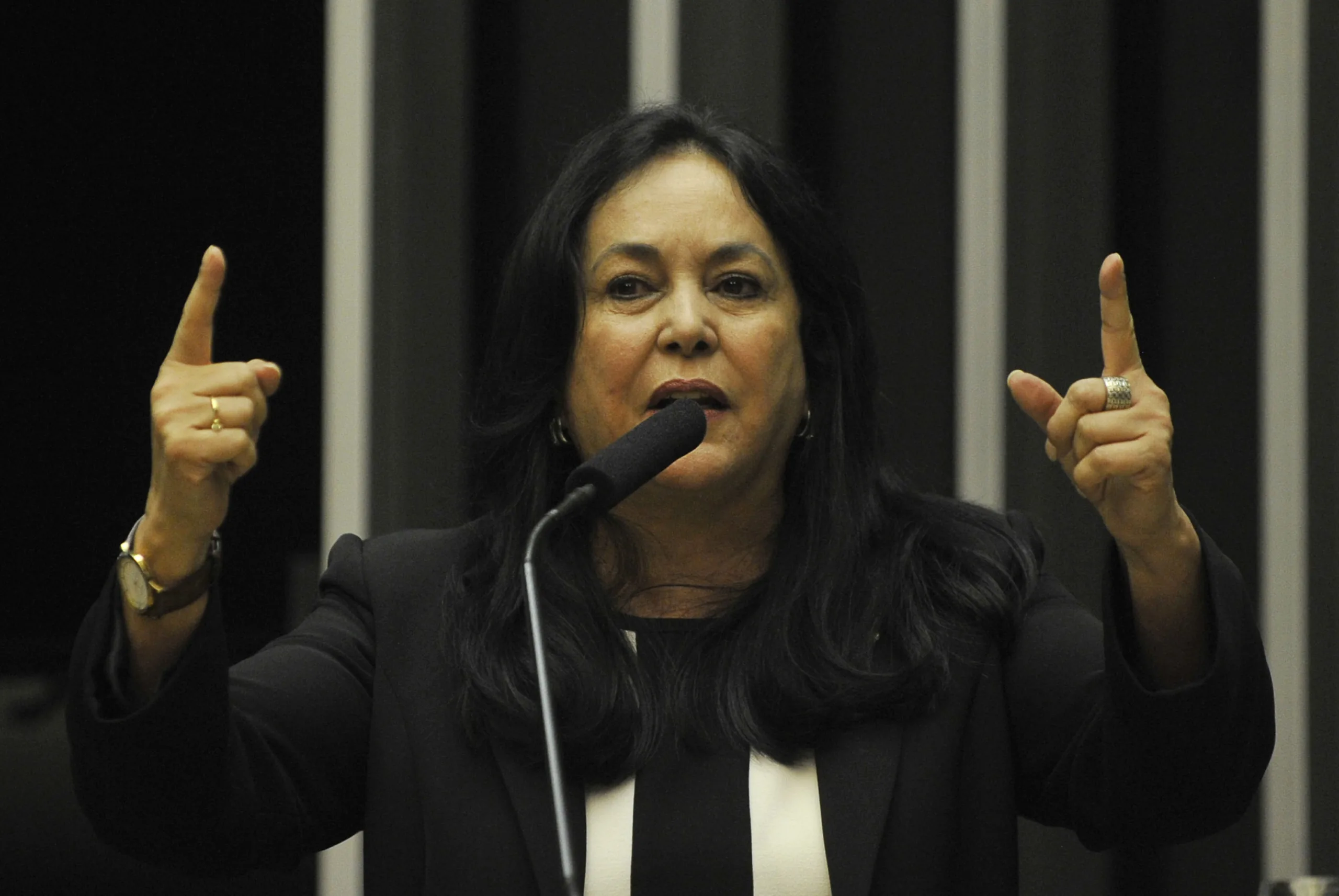 Brasília – Rose de Freitas (PMDB-ES), candidata à presidência da Câmara dos Deputados