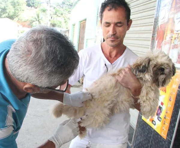 Vacinação contra raiva começa no próximo fim de semana em Cariacica