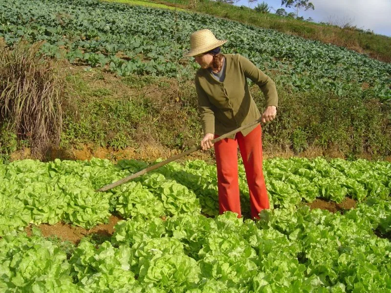 Em reunião com ministros de mais de 30 países, Brasil defende livre comércio na agricultura