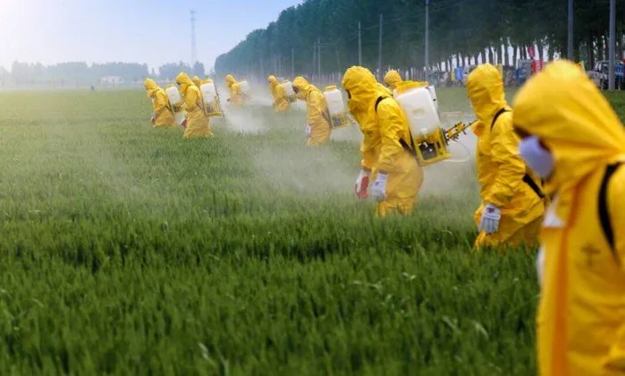 STF deve julgar hoje benefício que reduz 60% da base de cálculo do ICMS sobre agrotóxicos