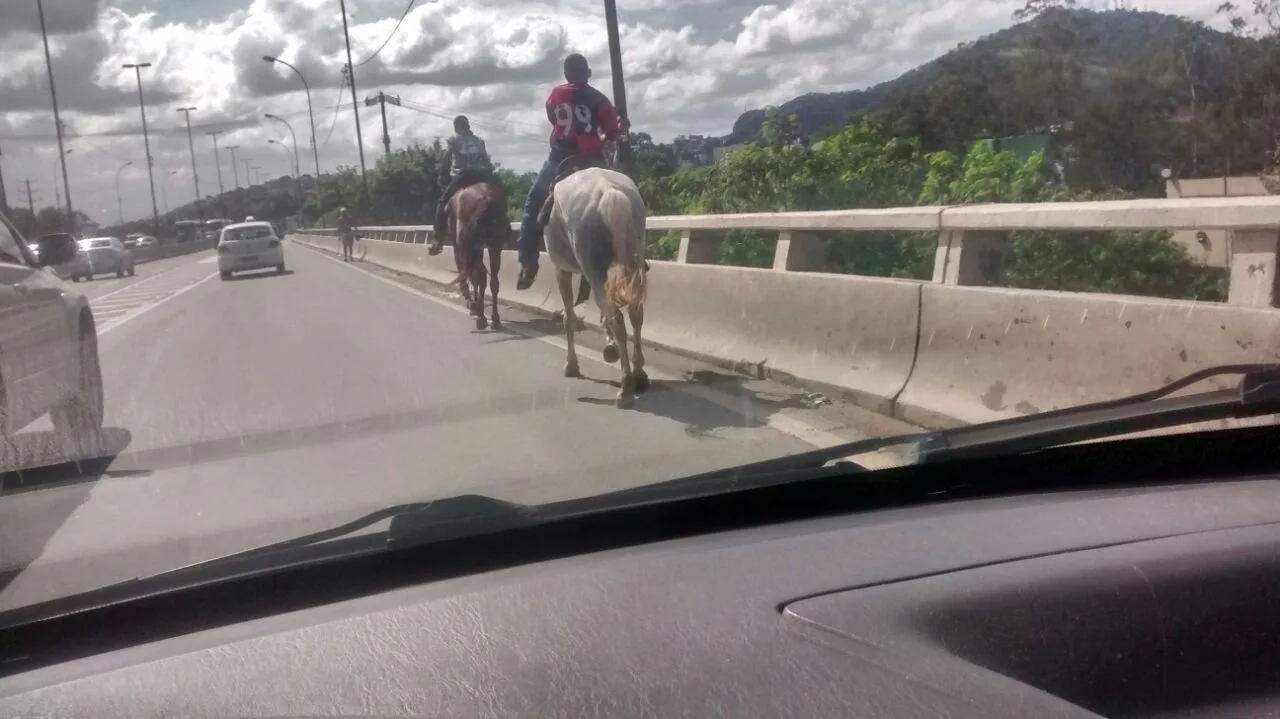 Flagra! Homens se arriscam andando a cavalo em cima da Segunda Ponte