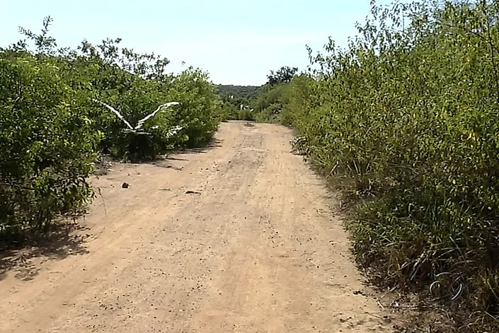 Mulher é encontrada morta em estrada de chão da Serra