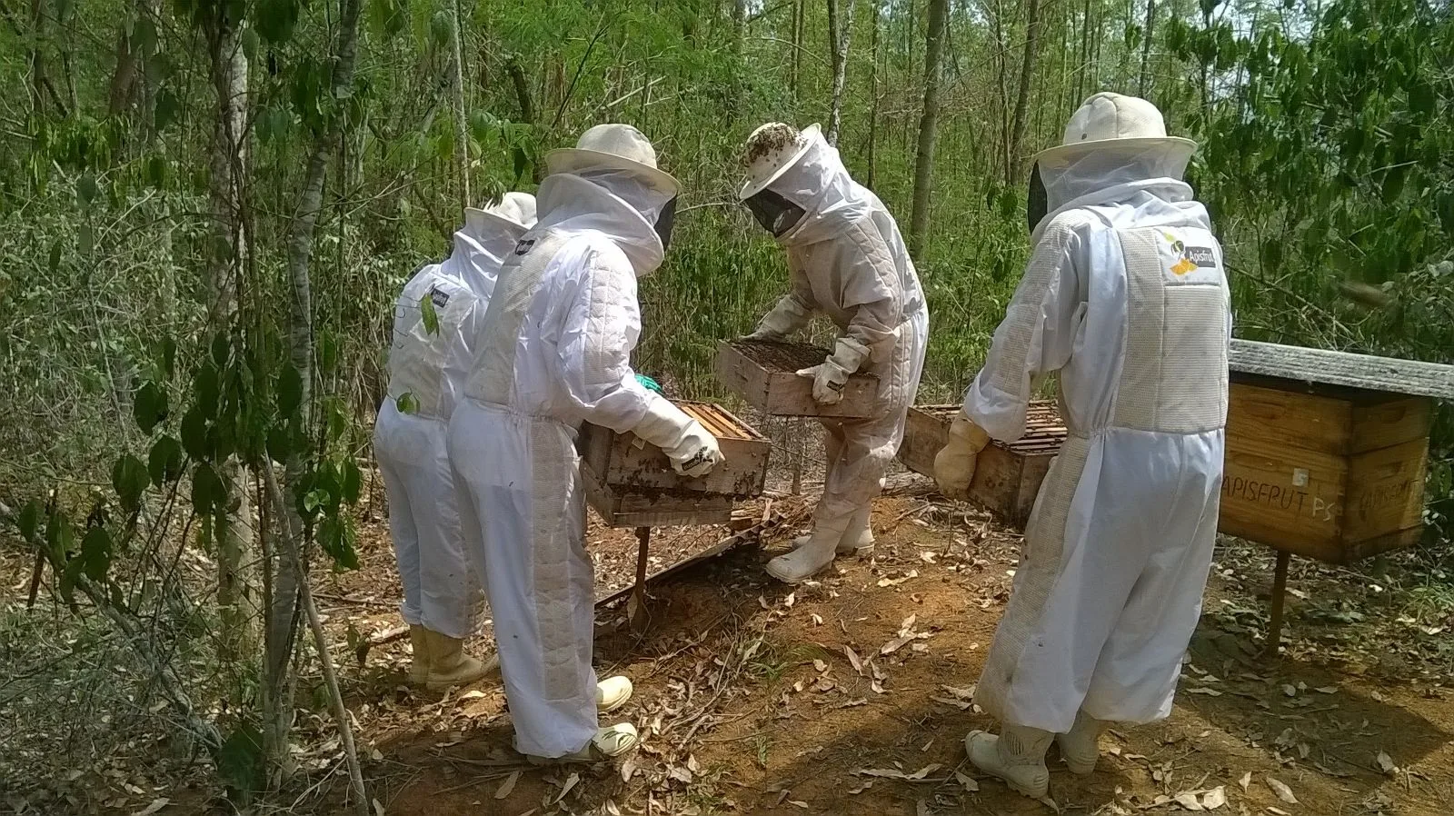 Empreendimentos rurais de Cachoeiro recebem investimentos tecnológicos