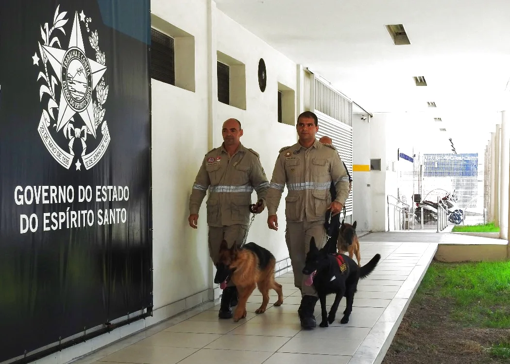 Cães e condutores que atuam na segurança pública no ES serão regulamentados e certificados