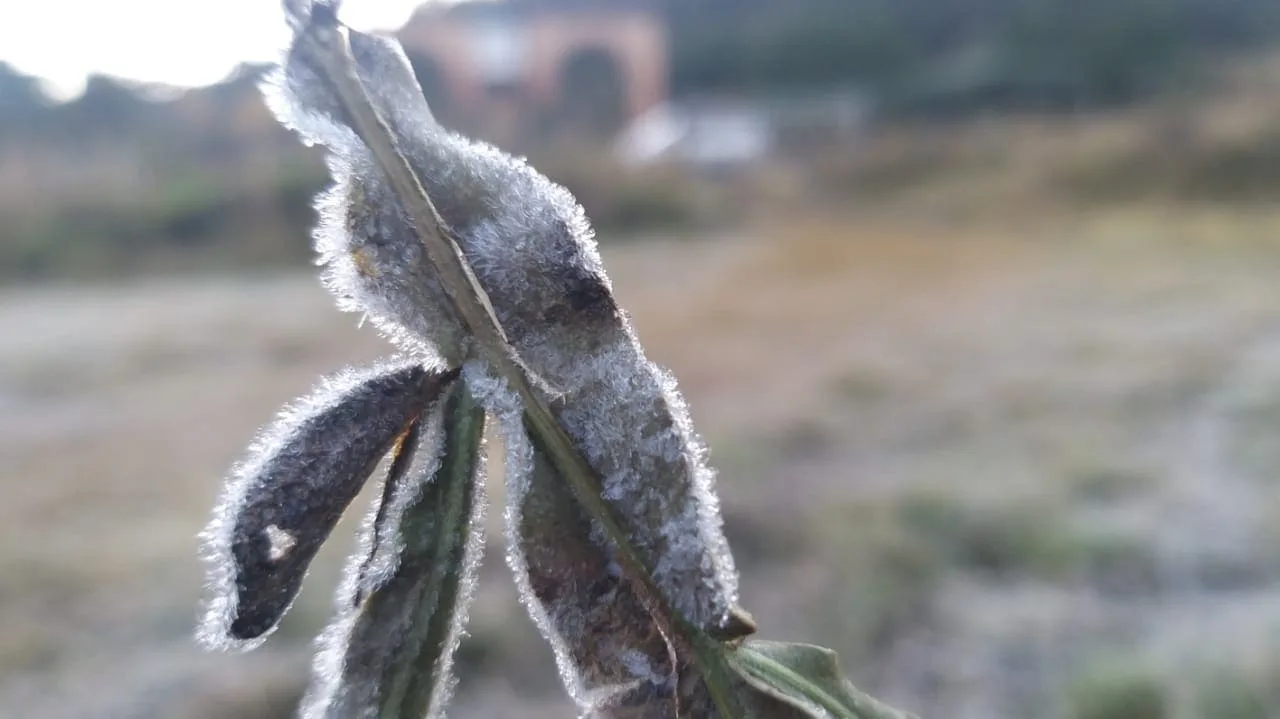 3°C: Massa polar chega ao ES, provoca queda nas temperaturas e risco de geadas