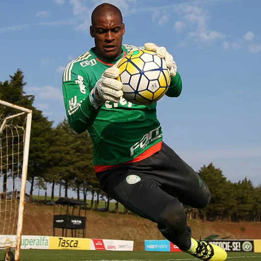 Com pouco espaço no Palmeiras, trio de veteranos vive impasse sobre contrato