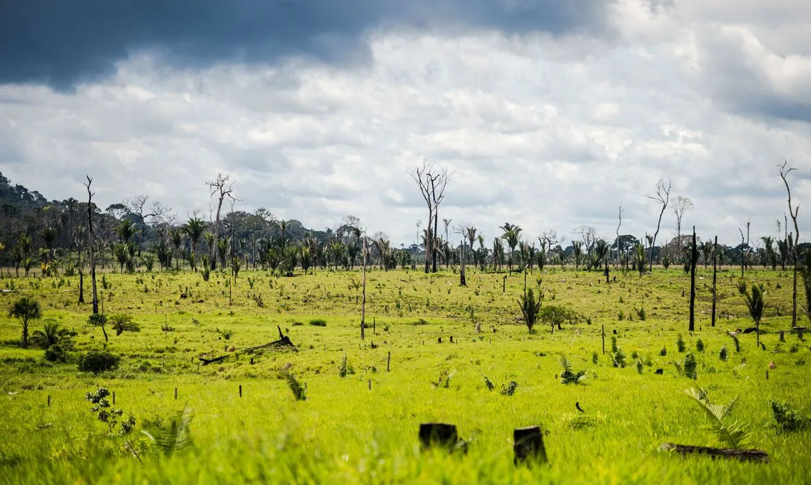 Colniza, MT, Brasil: Área degradada no município de Colniza, noroeste do Mato Grosso. (Foto: Marcelo Camargo/Agência Brasil)