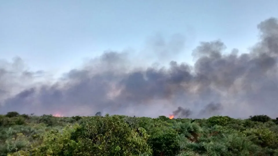 Incêndio devasta área equivalente a dez campos de futebol no Norte do ES