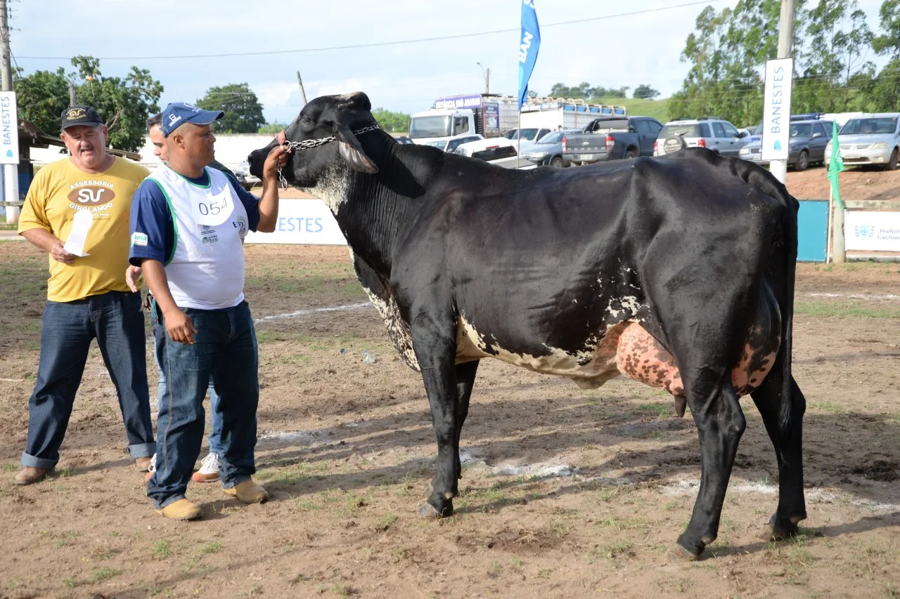 Cachoeiro recebe evento sobre produção de leite neste mês