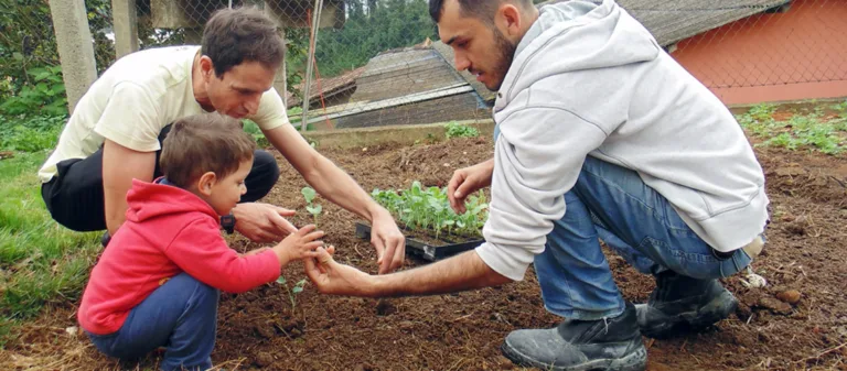 Crianças dão exemplo e cuidam de horta em escola pública de Venda Nova do Imigrante