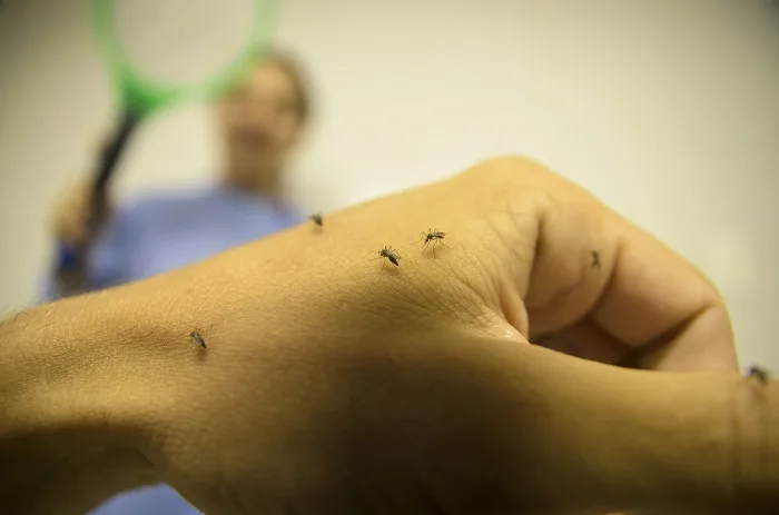 RECIFE, PE – 09.09.2015: AUMENTO DE CASOS DE DENGUE: Casos de dengue aumentam no país e principalmente nos estados de São Paulo e Rio de Janeiro. (Foto: Diego Herculano /Fotoarena/Folhapress) ORG XMIT: 992083