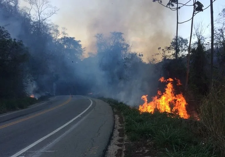 Incêndio às margens BR-262 assusta motoristas em Venda Nova do Imigrante