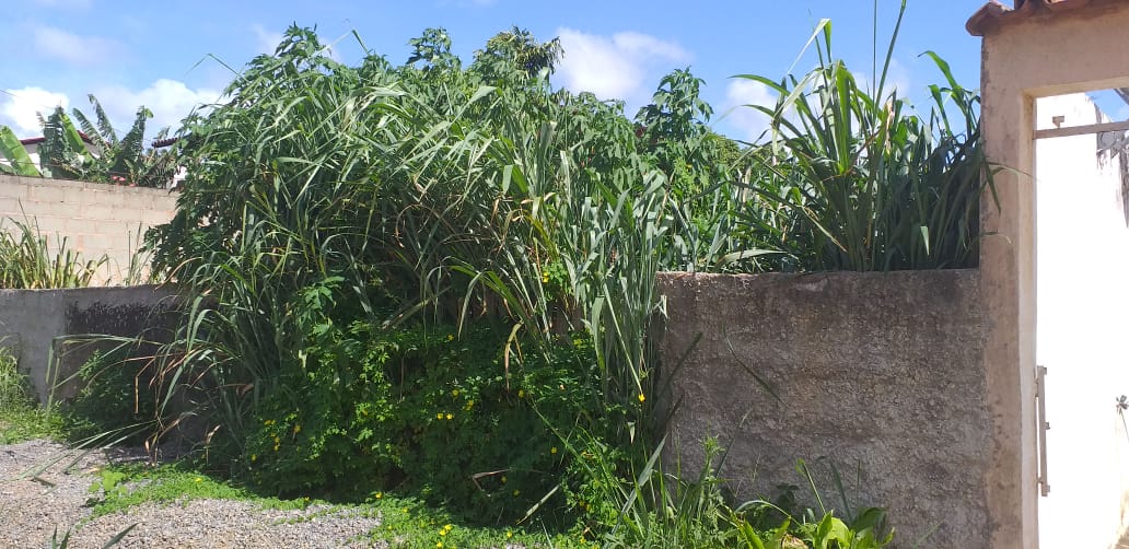 Prefeitura notifica dono de lote abandonado após denúncia de moradora em Guarapari