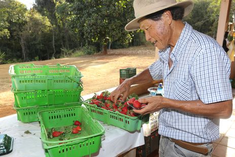 Foto: Valter Campanato/Agência Brasil