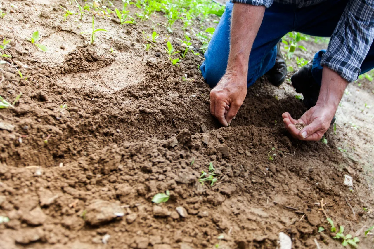 Projeto de Lei na Ales propõe distribuição de protetor solar gratuito para produtor rural