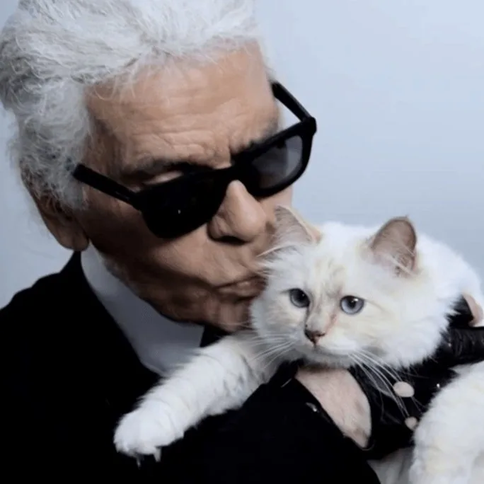 Lagerfeld lança coleção em parceria com marca de roupas para skatistas