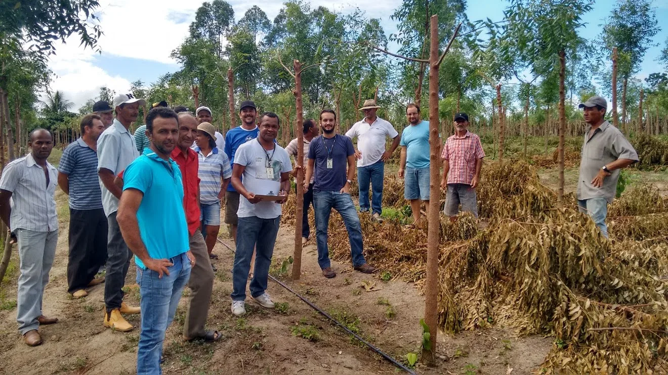 Excursão leva produtores a conhecer cultivo de pimenta-do-reino em Jaguaré