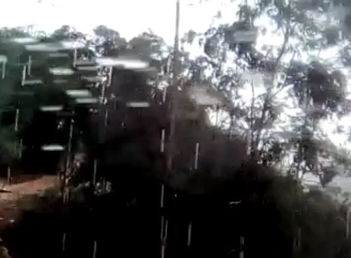 VÍDEO | Chuva de granizo e queda de árvores são registradas na região Serrana do ES