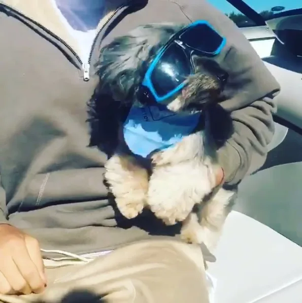 Justin Bieber mostra no Instagram que sua cachorra é a mais estilosa de todas