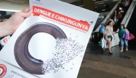 Transmitido pelo mesmo mosquito da dengue, Chikungunya assusta o país em 2014