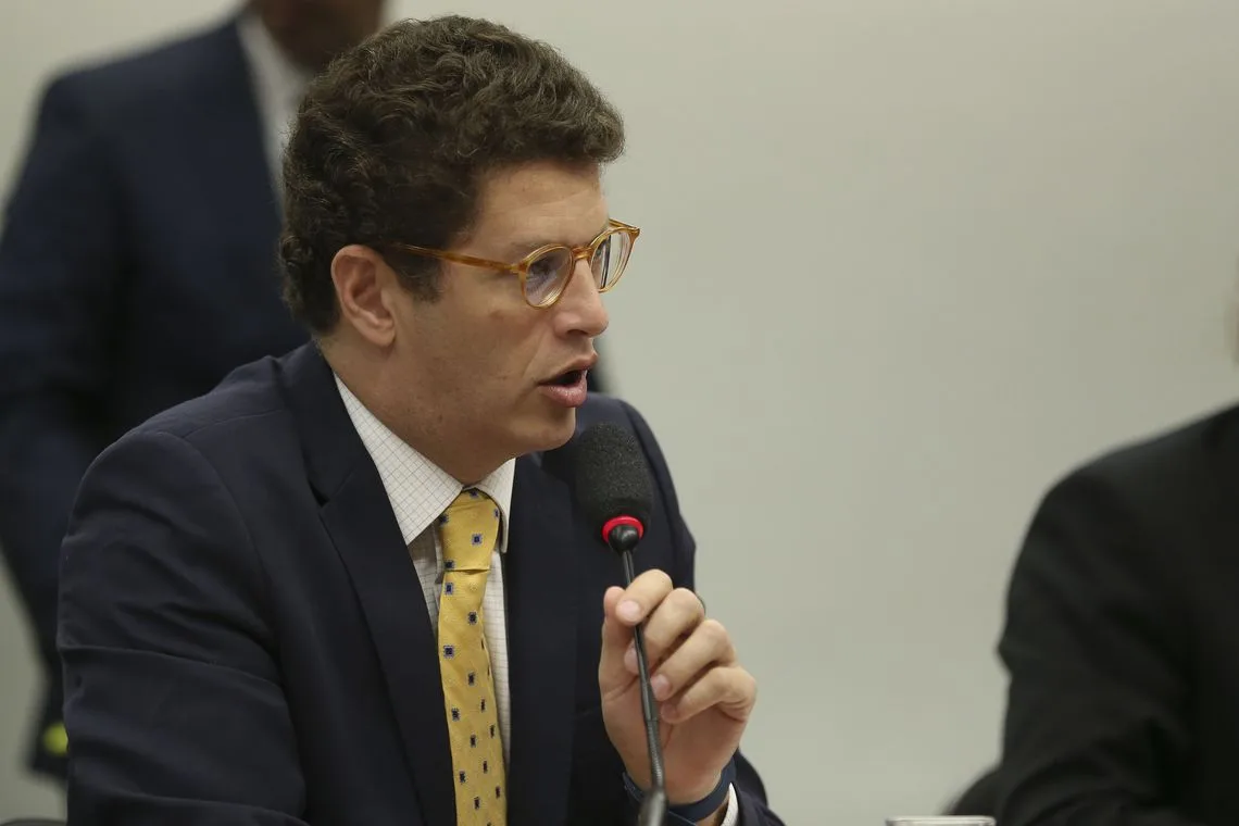 O ministro do Meio Ambiente, Ricardo Salles, participa de audiência pública conjunta promovida pelas comissões de Meio Ambiente e Desenvolvimento Sustentável e de Integração Nacional, Desenvolvimento Regional e da Amazônia.