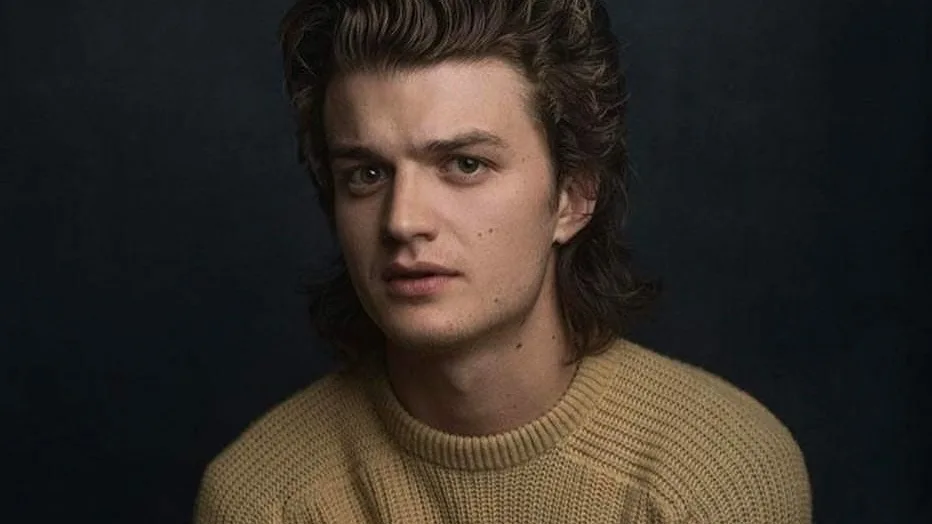 A mudança de visual de Steve Harrington na 2ª temporada de Stranger Things