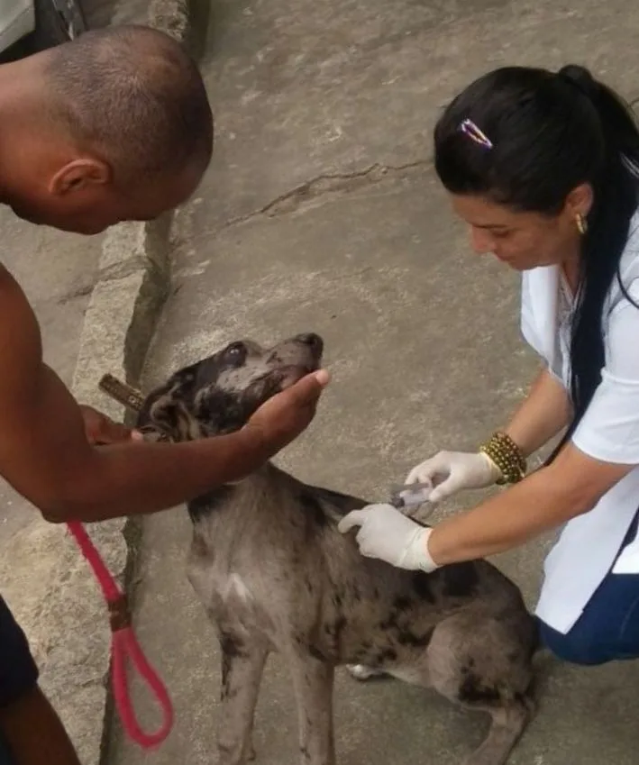 Cachoeiro inicia primeira etapa de vacinação contra raiva animal