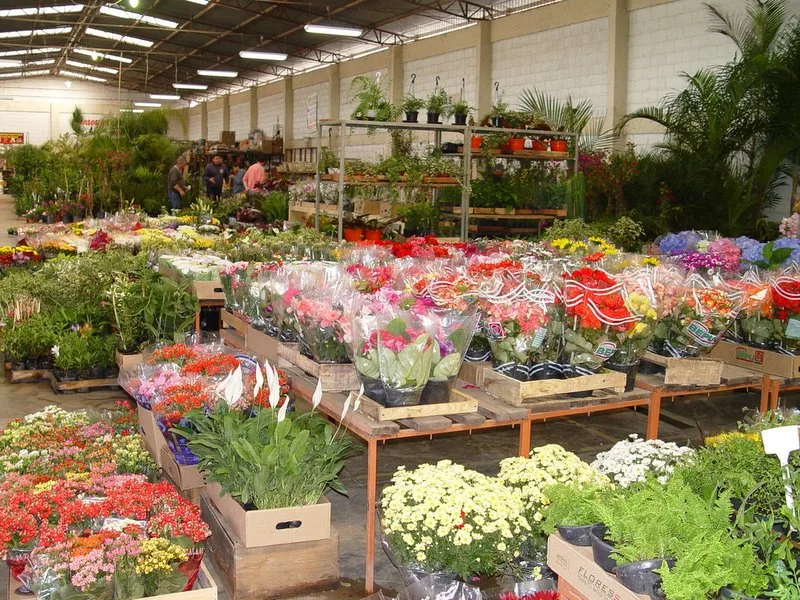 Moradores de Cachoeiro ganham mercadão de flores na Ceasa Sul