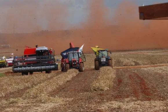 Produção de grãos na safra 2020/21 deve ser recorde de quase 270 milhões de toneladas