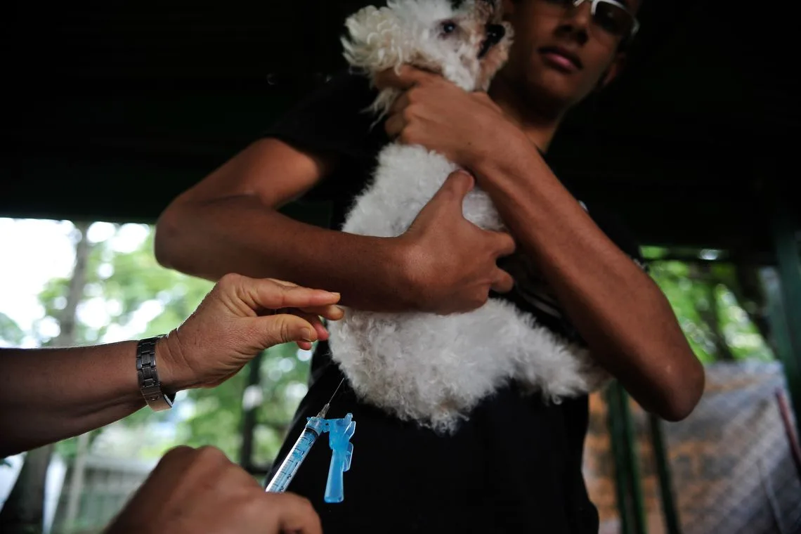 Brasília – A Secretaria de Saúde do Distrito Federal realiza, neste sábado (22), campanha de vacinação antirrábica para cães e gatos, na área urbana (Marcelo Camargo/Agência Brasil)