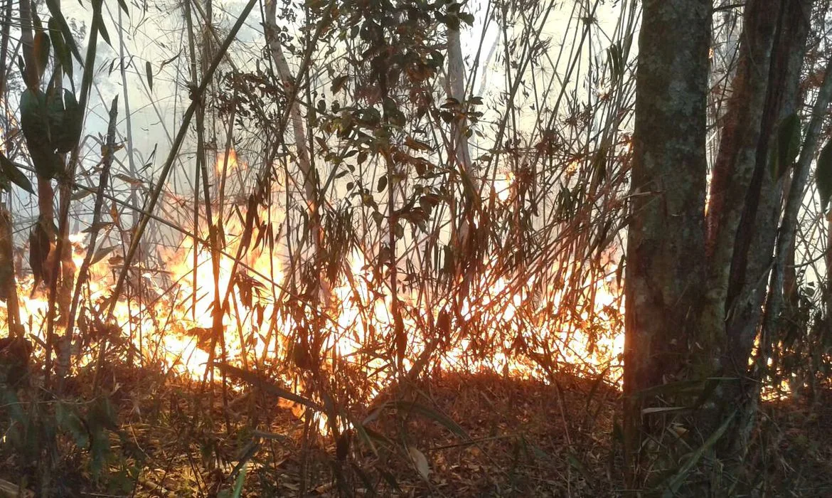 Petrópolis (RJ) – Incêndio no Parque Nacional da Serra dos Órgãos (Divulgação/Parnaso)