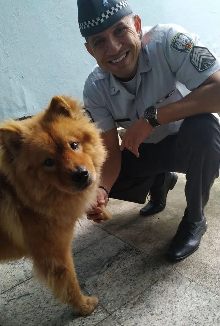 Cachorro abandonado no batalhão da PM em Cachoeiro procura por um novo lar