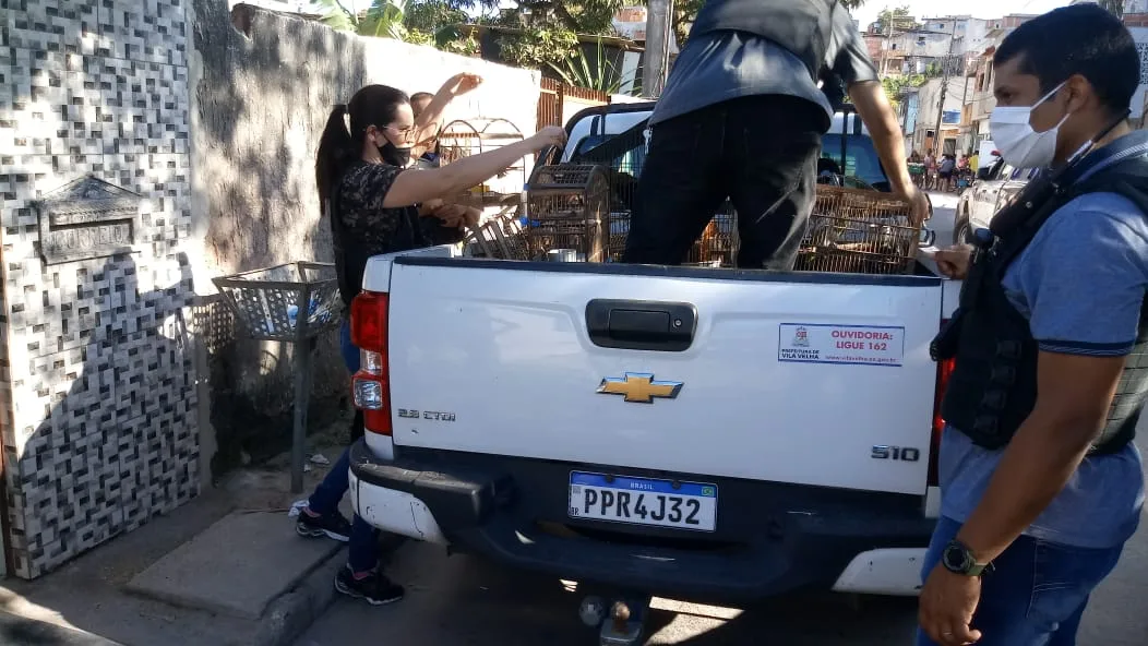 Pássaros silvestres e drogas são apreendidos em Vila Velha