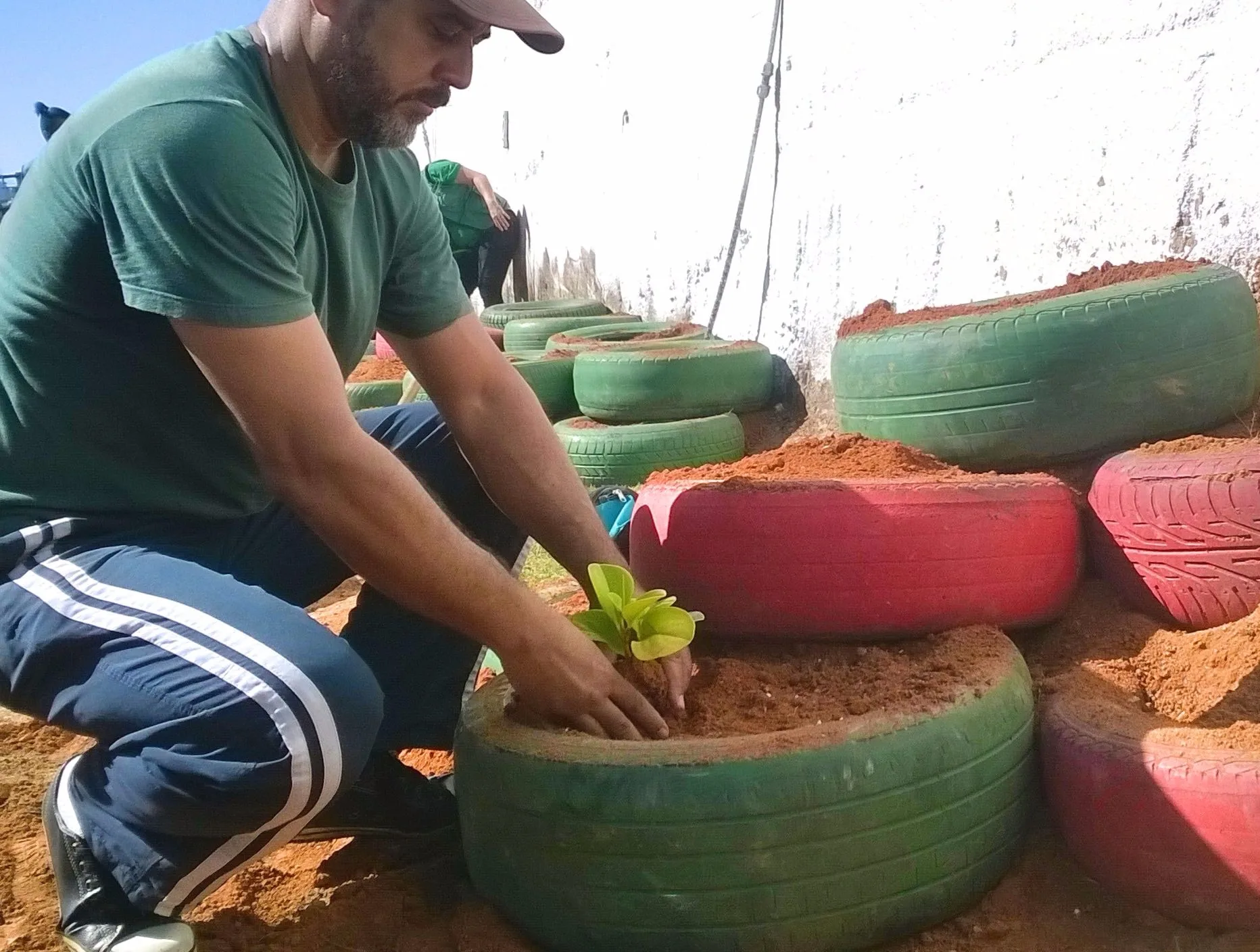 Ações pelo mês do meio ambiente começam com plantio no Gilson Carone