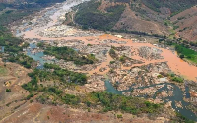 Reflorestamento da bacia do Rio Doce custará R$ 1,1 bilhão