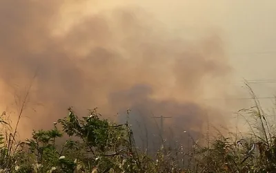 Estiagem e sol forte fazem triplicar casos de incêndio em vegetação no Estado