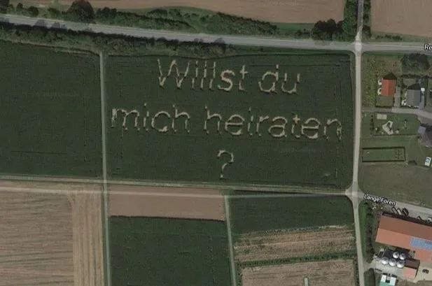 Pedido de casamento em milharal na Alemanha aparece no Google Maps