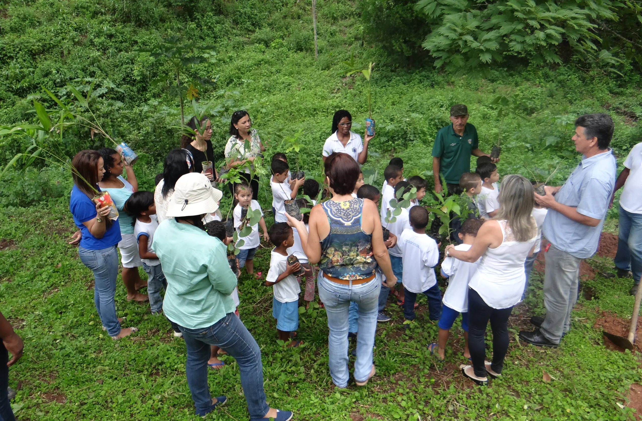 Crianças plantam mudas de espécies nativas e frutíferas no interior de Cachoeiro