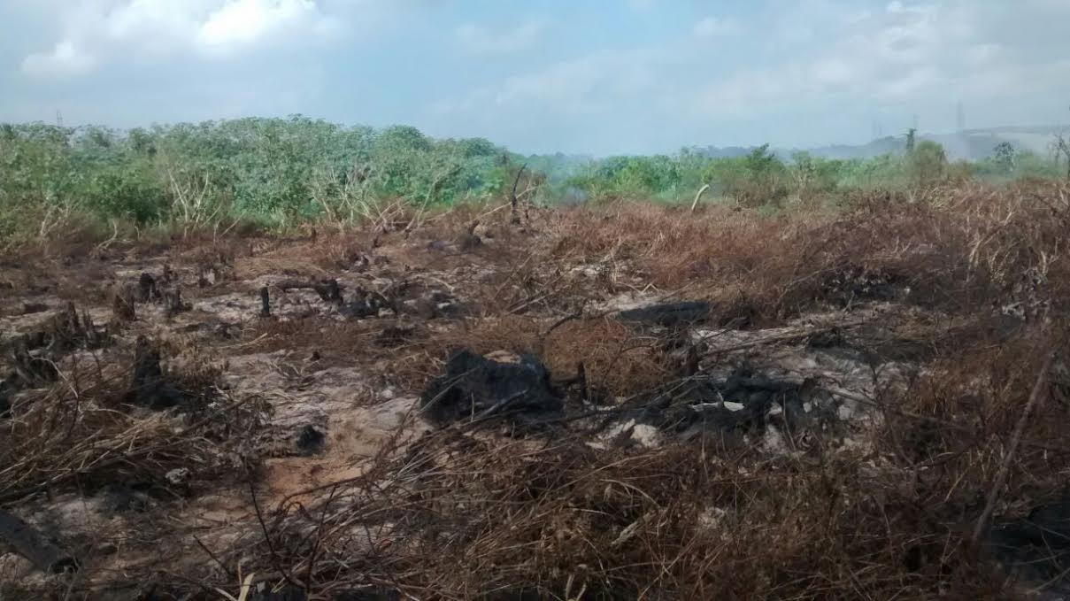 Fumaça noturna que atinge bairros da Grande Vitória continua incomodando moradores