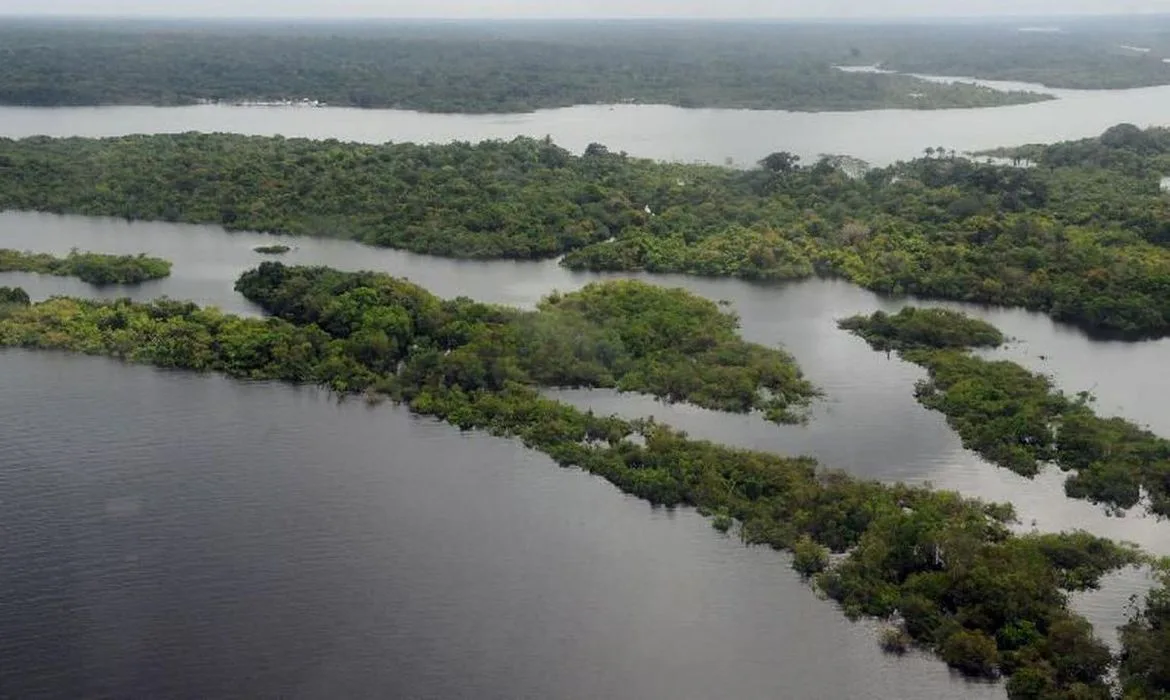 Mercúrio contamina 21% dos peixes vendidos na região da Amazônia