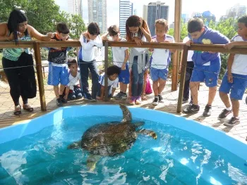 Crianças poderão alimentar e soltar tartarugas neste domingo no Tamar-Vitória