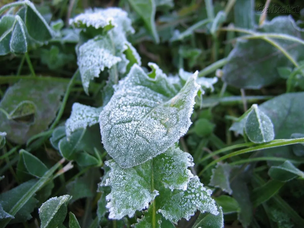 Frio pode aumentar e há previsão de geada na região Serrana do ES