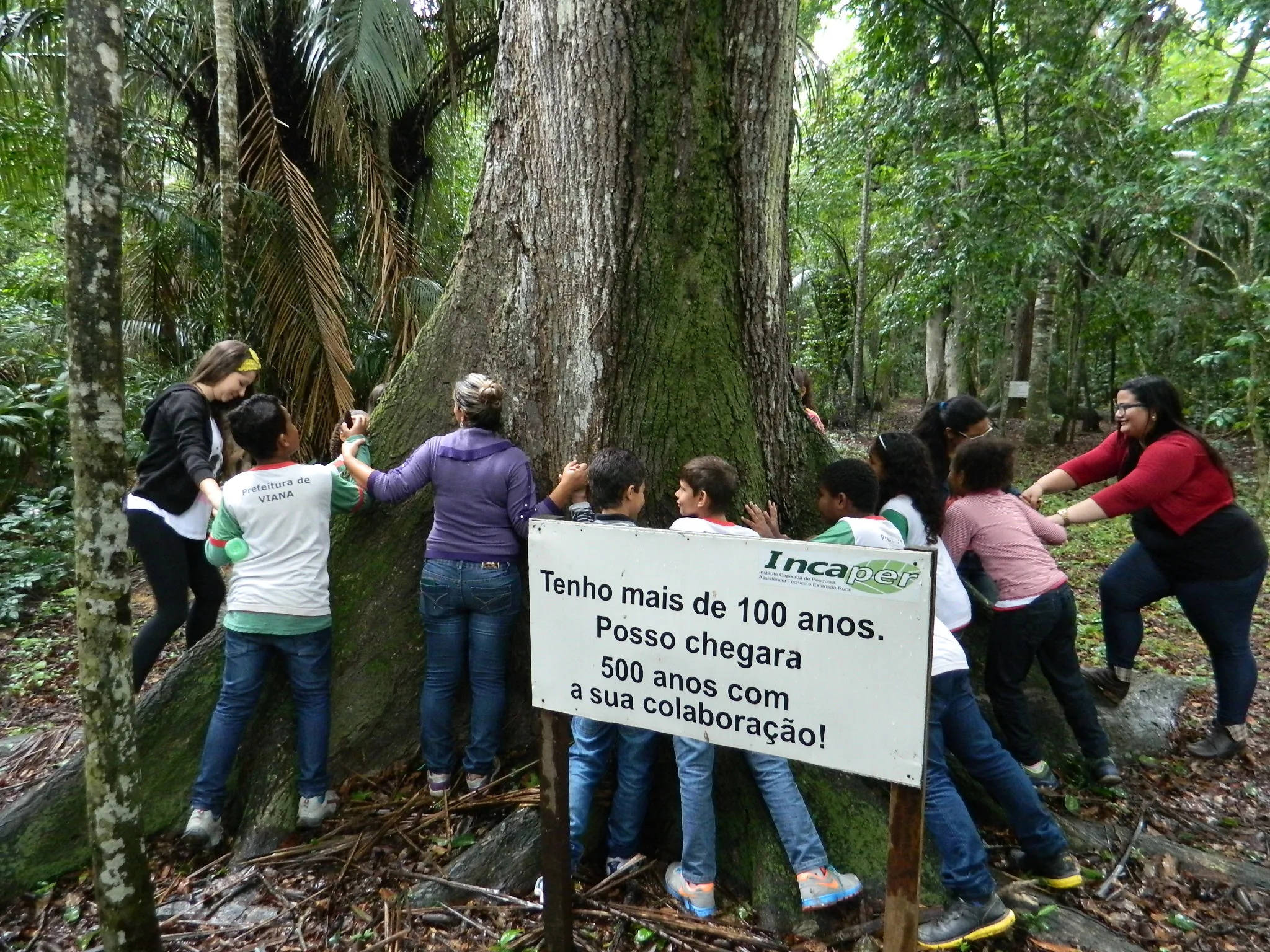 Alunos de Viana aprendem sobre biodiversidade em aula ao ar livre